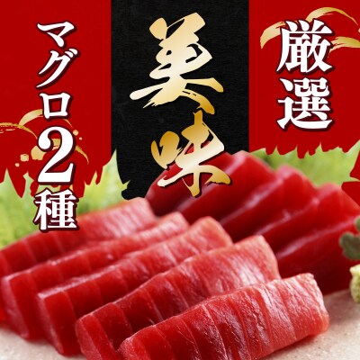 【6回定期便】本マグロ　南マグロ　中トロ　各1柵　奇数月にお届け