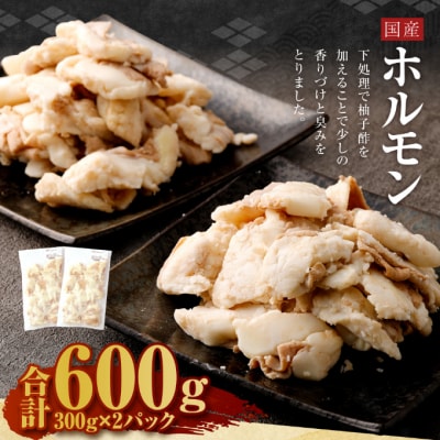 国産ホルモン!もつ鍋食べ比べセット【醤油・味噌】
