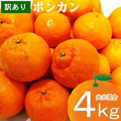 【ご家庭用】マルカズ農園の訳ありポンカン 4kg