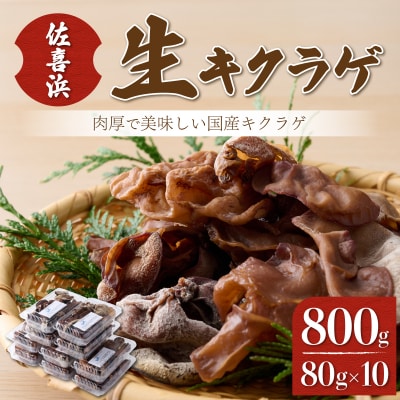 国産生キクラゲ 高知県産 計800g