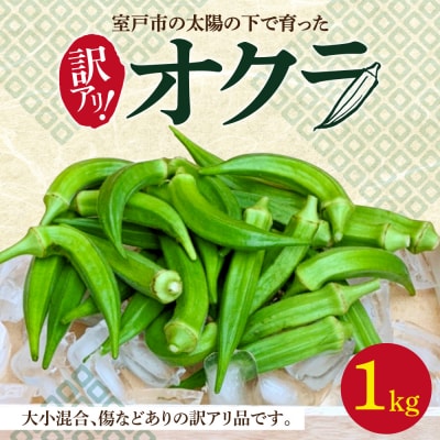 【ご家庭用・訳あり】朝どれ新鮮オクラ1kg