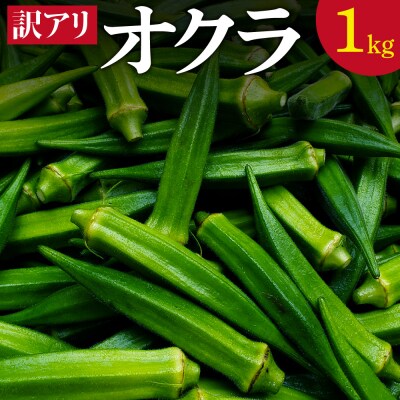 【ご家庭用・訳あり】朝どれ新鮮オクラ1kg