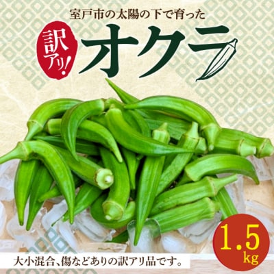 【ご家庭用・訳あり】朝どれ新鮮オクラ1.5kg