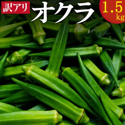 【ご家庭用・訳あり】朝どれ新鮮オクラ1.5kg
