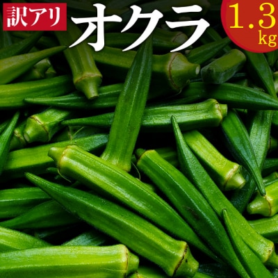 (ご家庭用・訳あり)朝どれ新鮮オクラ1.3kg【高知県室戸市産】