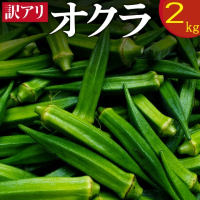 (ご家庭用・訳あり)朝どれ新鮮オクラ2kg【高知県室戸市産】 