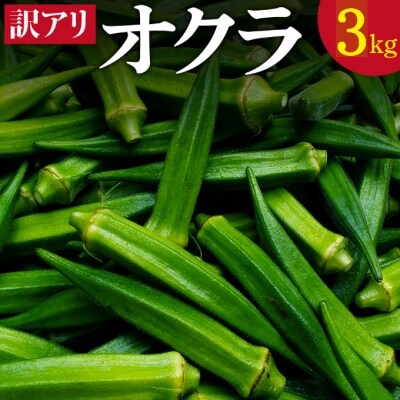 (ご家庭用・訳あり)朝どれ新鮮オクラ3kg【高知県室戸市産】