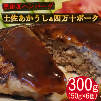 ハンバーガー屋の本気ミニハンバーグ300g(50g×6個)
