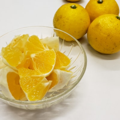 【先行受付】【訳あり】室戸小夏2.5kg