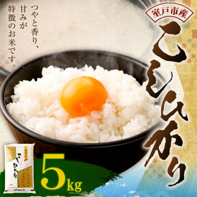 【令和5年産】室戸産新米コシヒカリ　5kgセット