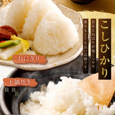 【令和5年産】室戸産新米コシヒカリ　5kgセット