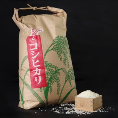 【6回定期便】【令和5年産】室戸産新米コシヒカリ　5kg　米定期便　定期便6回