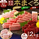 【 定期便 全4回 隔月 お届け 】厳選天然本まぐろ大トロ・中トロ・赤身　お刺身用