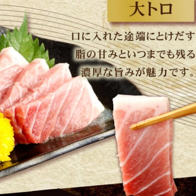 【 定期便 全4回 隔月 お届け 】厳選天然本まぐろ大トロ・中トロ・赤身　お刺身用