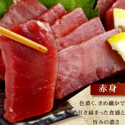 【 定期便 全4回 隔月 お届け 】厳選天然本まぐろ大トロ・中トロ・赤身　お刺身用