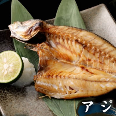 地魚 干物 詰め合わせセット 定期便6回 訳あり 約1.5kg 国産 ひもの サバ アジ 鯛など