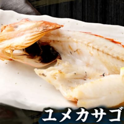 地魚 干物 詰め合わせセット 定期便6回 訳あり 約1.5kg 国産 ひもの サバ アジ 鯛など
