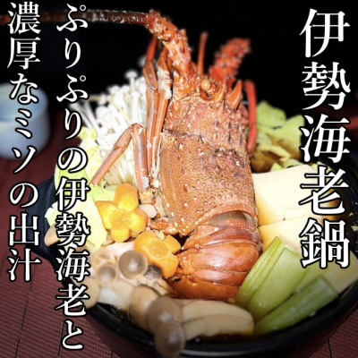 【先行予約】室戸市産活伊勢海老　600g　レシピ、軍手付き