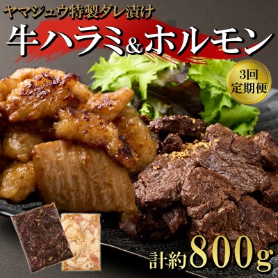 ヤマジュウの特選タレ漬け!牛ハラミ肉&国産牛ホルモン計800g【3回定期便】