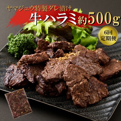 ヤマジュウの特製タレ漬け!牛ハラミ肉500g【6回定期便】