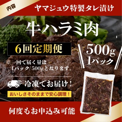 ヤマジュウの特製タレ漬け!牛ハラミ肉500g【6回定期便】