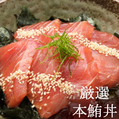 初音のオススメ3回定期便B<カツオ・漬け丼・本マグロ>