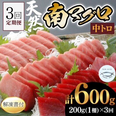 【3回定期便】天然南マグロ　中トロ　1柵　解凍書付 海鮮 魚介 鮪 惣菜 冷凍 ミナミマグロ