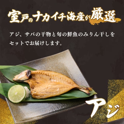 ナカイチ海産!人気干物3種類詰め合わせセット