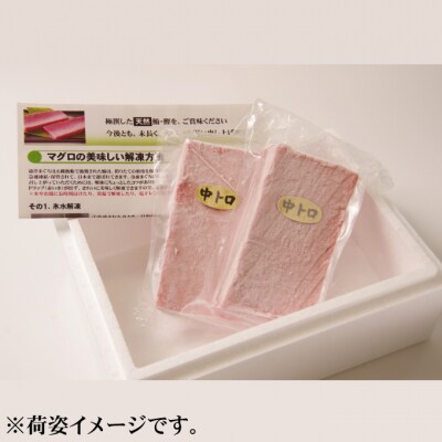 【3回定期便】天然本マグロ　中トロ　1柵　解凍書付 海鮮 魚介 鮪 惣菜 冷凍 クロマグロ まぐろ
