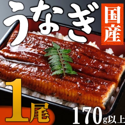 【数量限定】海土のうなぎの蒲焼き　1尾 