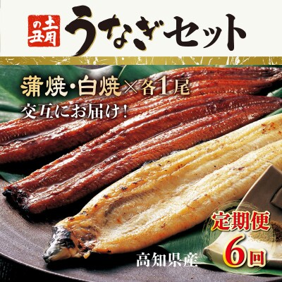 蒲焼き・白焼きを交互にお届け!国産うなぎ1尾【全6回定期便】