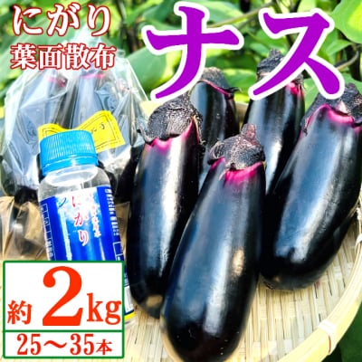 農家直送　土佐の美味茄子の新鮮ナス　2kg　(室戸海洋深層水にがり使用)