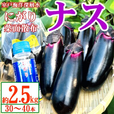 農家直送　土佐の美味茄子の新鮮ナス　2.5kg　(室戸海洋深層水にがり使用)