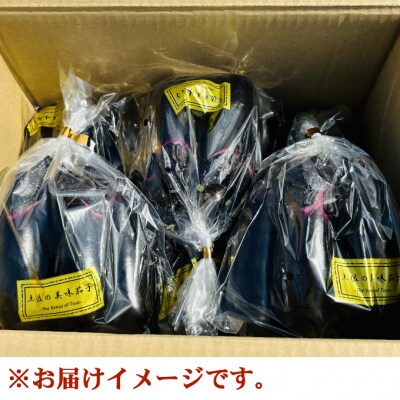 農家直送　土佐の美味茄子の新鮮ナス　2.5kg　(室戸海洋深層水にがり使用)