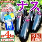 【定期便6回発送】農家直送　土佐の美味茄子の新鮮ナス　4kg　(室戸海洋深層水にがり使用)