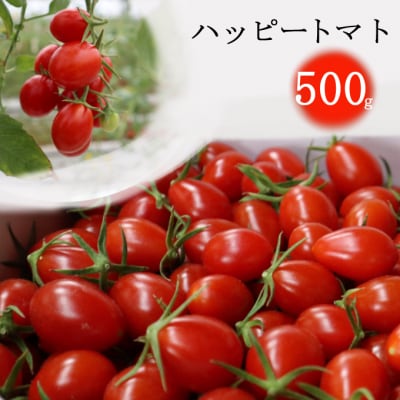 ハッピートマト500g【室戸海洋深層水ブランドマーク取得】