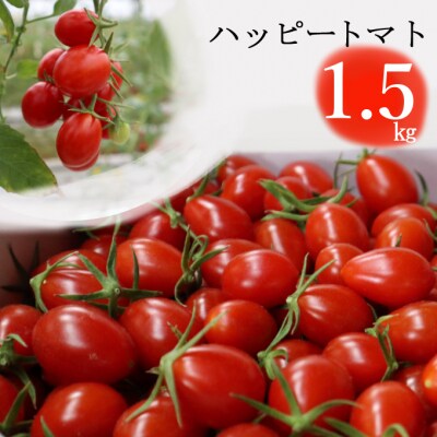 ハッピートマト1.5kg【室戸海洋深層水ブランドマーク取得】