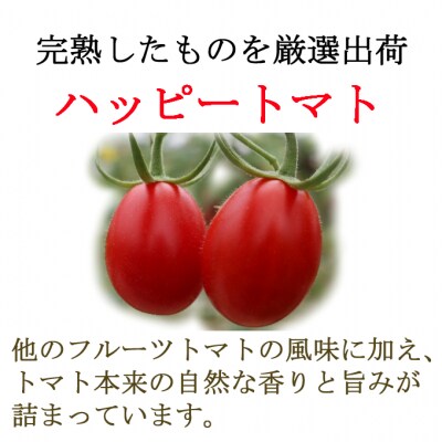ハッピートマト1.5kg【室戸海洋深層水ブランドマーク取得】