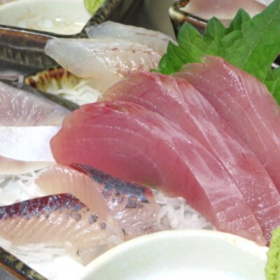 旬の天然魚の刺身　4種以上詰め合わせ　計400g　5袋