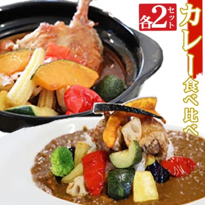 海土の食べ比べ カレー編 スープカレーと大人のカレー 各2袋