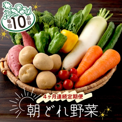 朝どれ野菜10品目【4ヶ月連続定期便】