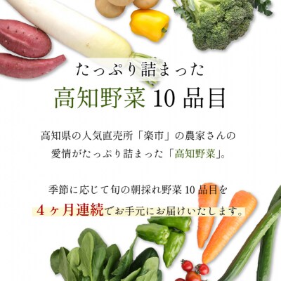 朝どれ野菜10品目【4ヶ月連続定期便】