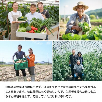 朝どれ野菜10品目【4ヶ月連続定期便】
