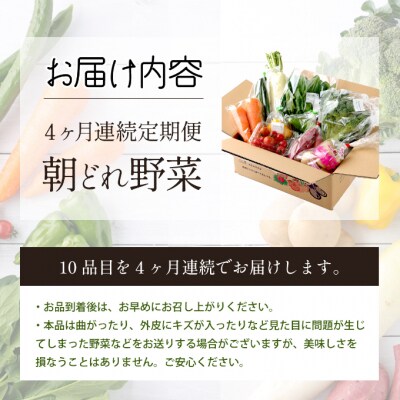 朝どれ野菜10品目【4ヶ月連続定期便】