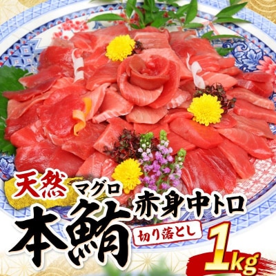 高豊丸 天然本マグロ (赤身・中とろ) 切り落とし 100g×10パック 1kg