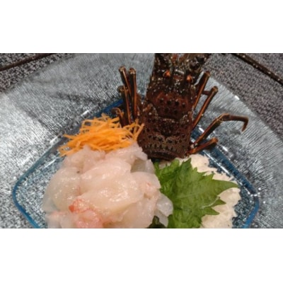 【捌き方レシピ・軍手付き】活きイセエビ漁師直送!!2㎏以上(3～5尾、4～5人前)