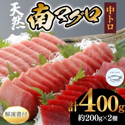 天然南マグロ　中トロ2柵【解凍書付】