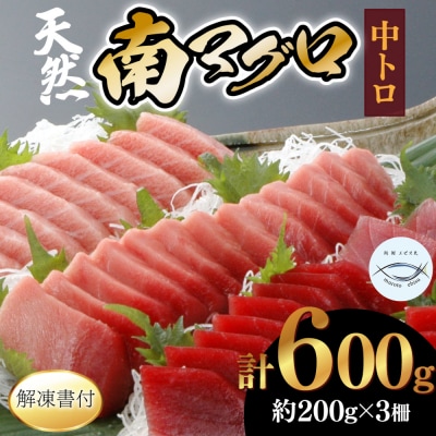 【中トロ】天然南マグロ　中トロ2柵【解凍書付】