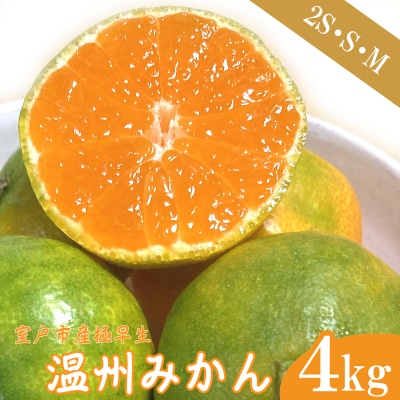極早生温州みかん 4kg 2S～Mサイズ 高知県室戸市産