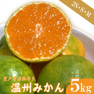 【数量限定】極早生温州みかん 5kg 2S～Mサイズ 高知県室戸市産